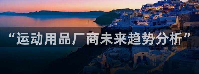 NG大舞台官网下载注册：“运动用品厂商未来趋势分析”