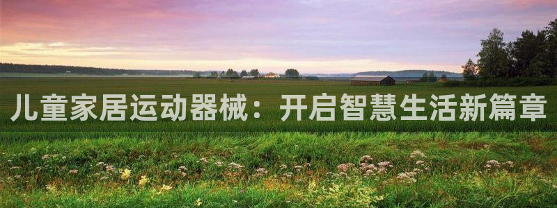 NG大舞台官网下载平台注册：儿童家居运动器械：开启智慧生活新