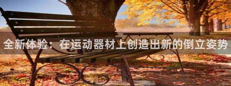 NG大舞台官网下载平台假的吗是真的吗：全新体验：在运动器材上