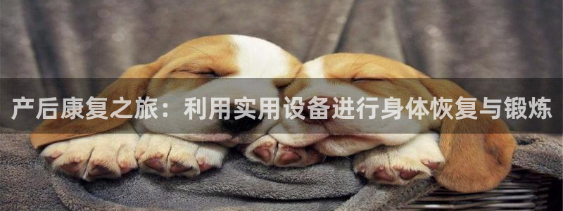 NG大舞台官方正版app集团简介：产后康复之旅：利用实用设备